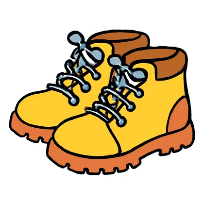 A pair of walking boots
