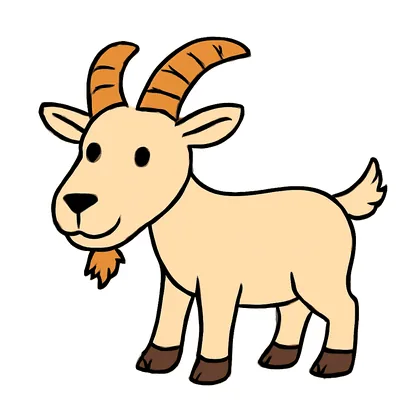 A goat