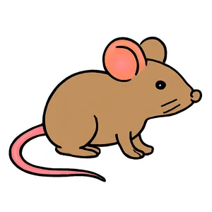 第 2 題的圖片